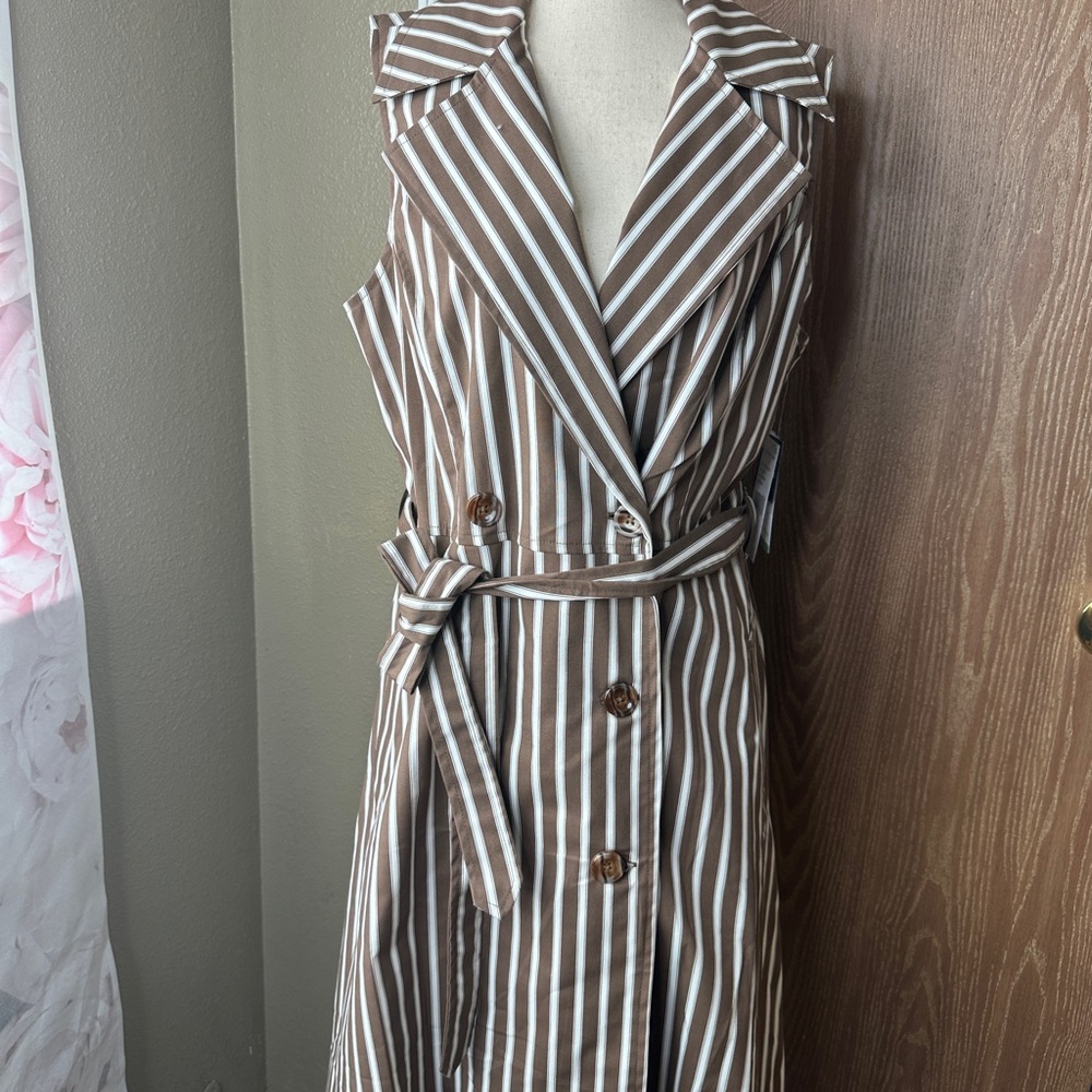 Robbie Bee Brown and White Striped Sleeveless Dress